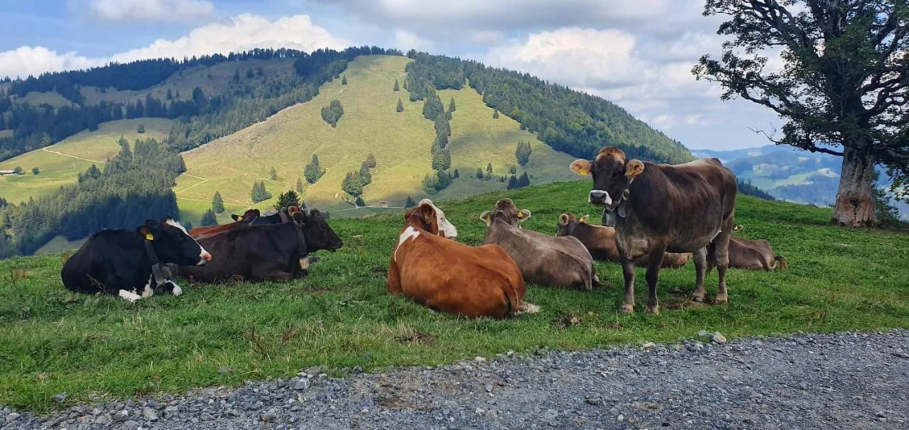 Ferienwohnung Hane Oberreute 0*,