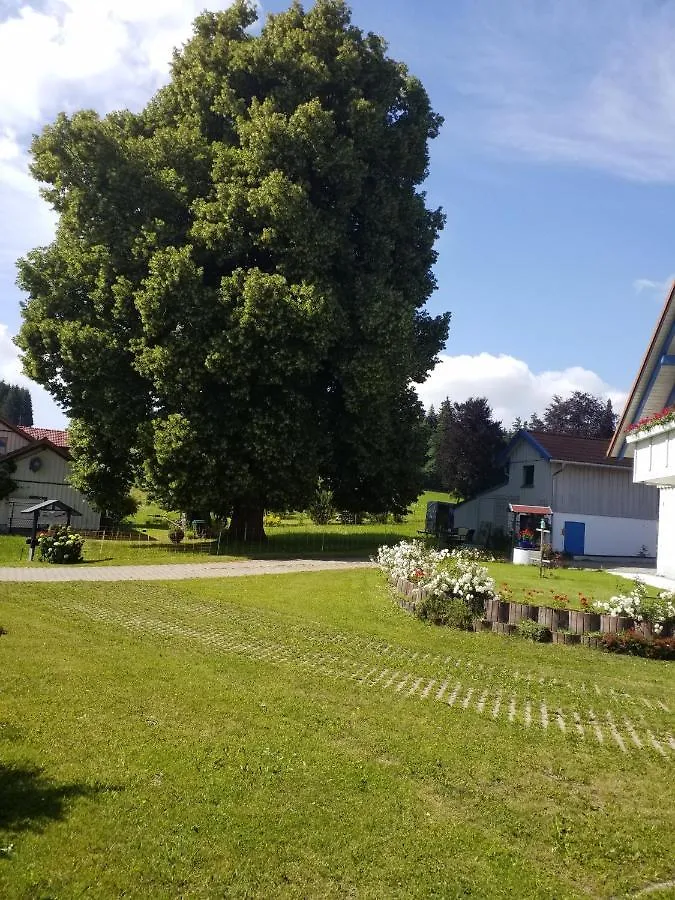 Ferienwohnung Hane Oberreute 0*,  Deutschland